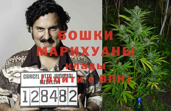 ПСИЛОЦИБИНОВЫЕ ГРИБЫ Бородино