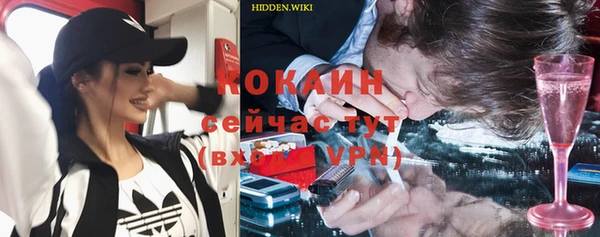 ПСИЛОЦИБИНОВЫЕ ГРИБЫ Бородино