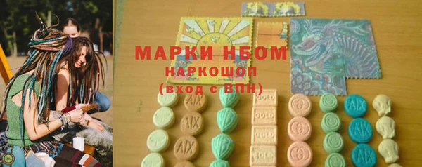 ПСИЛОЦИБИНОВЫЕ ГРИБЫ Бородино