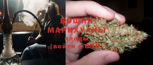 ПСИЛОЦИБИНОВЫЕ ГРИБЫ Бородино